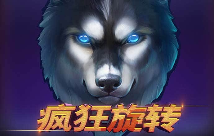 6686官方体育